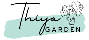 Thiya Garden | Wholesale​ Rare and Variegated​ Plants from Thailand